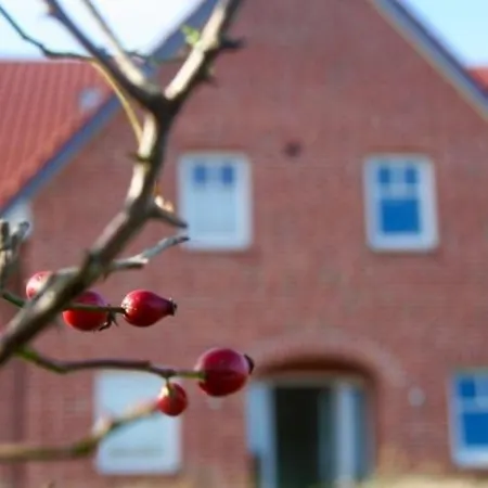 Appartamento Suennenhus Whg 15