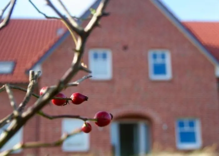 דירה Suennenhus Whg 15